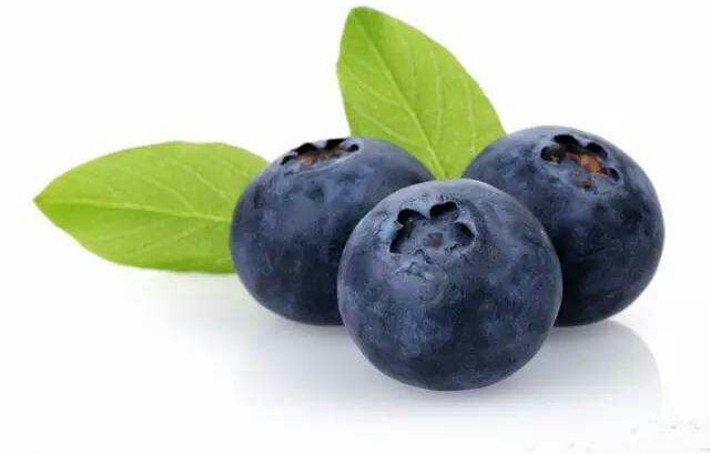 他国企辞职,种植蓝莓,成为"蓝莓大王"