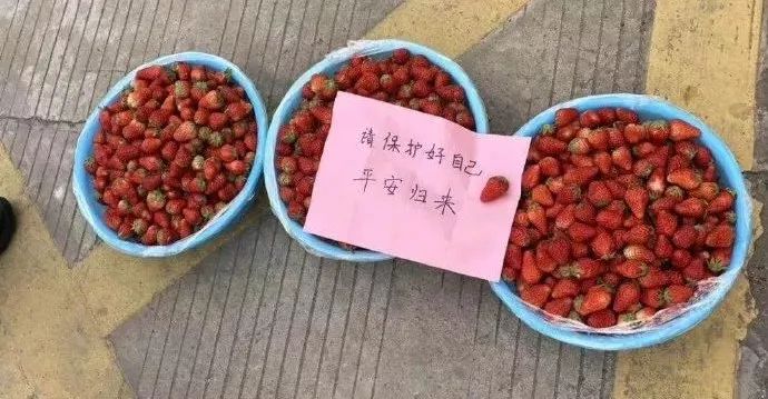 30+1!四川凉山木里森林火灾起火原因确认!