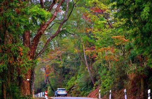 韶关始兴:北山秋色正斑斓,美景满目惹人醉|北山_新浪新闻