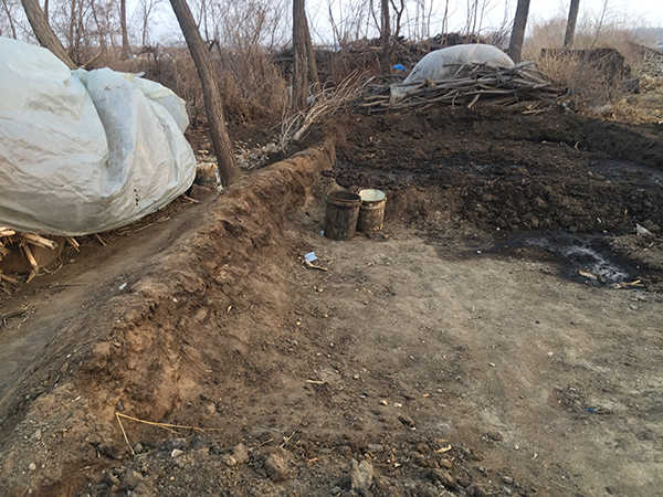 一桩疑因"粪坑"引发的命案:大连一家四口被杀案现场直击