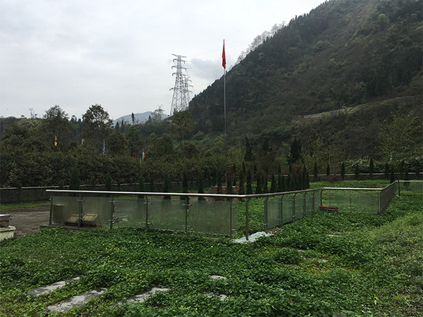 汶川映秀遇难者公墓守墓人:十年从未给孙儿祭奠