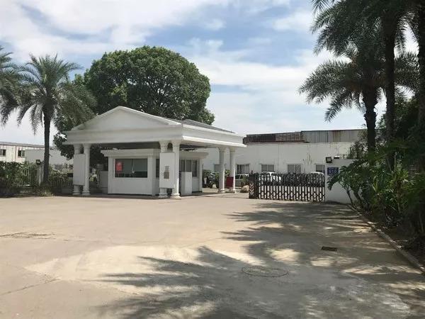 有泪也有笑,有真相也有谣言丨浙江温州"江南皮革厂"的魔幻16年