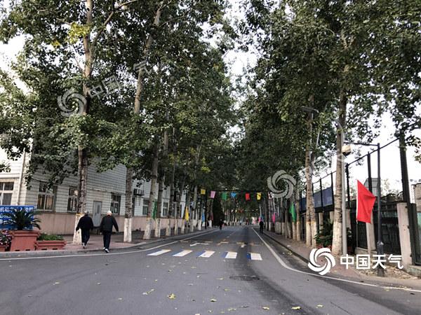 大风降温来袭!北京气温将跌破10℃ 北风持续呼