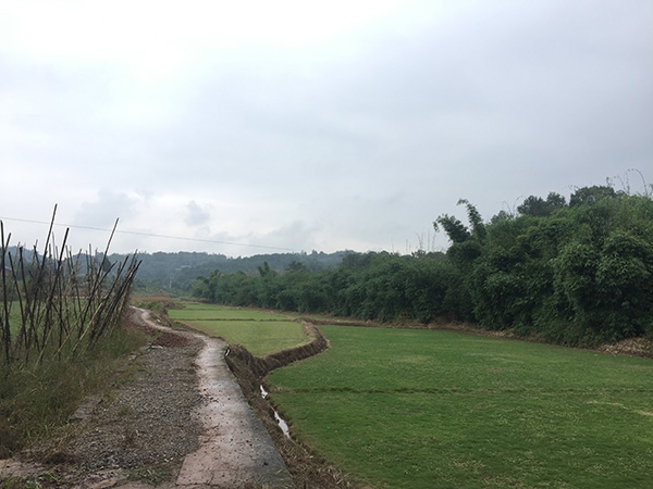 农村土地确权之争:重庆村民卖房14年后要地,政