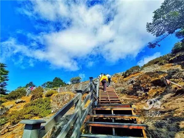 雲南|轎子雪山|一線天_新浪新聞