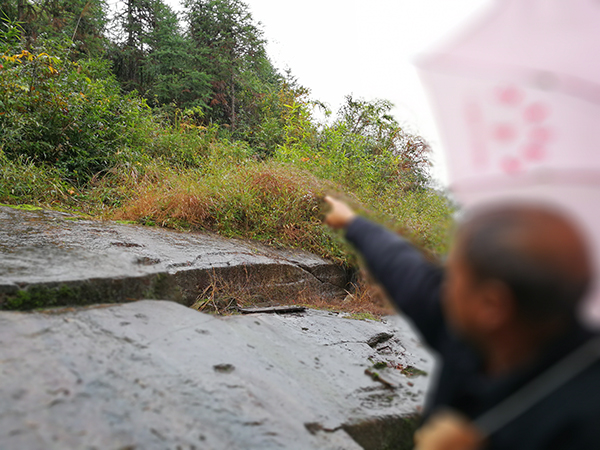 据颜石保介绍,他弟弟颜昌勇是在屋后的山坡上自杀的。 澎湃新闻记者朱远祥 图