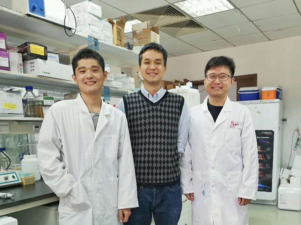 科学家发现PD-1降解机制,助力肿瘤免疫治疗设计新方案|许琛琦|科学家发现|白介素_新浪新闻