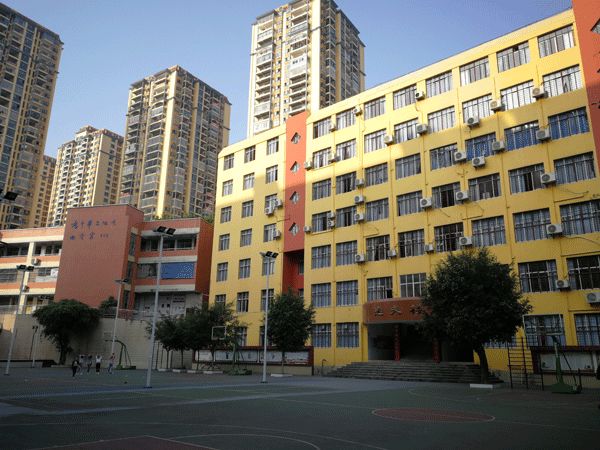 支教地理丨河口一中学生感言