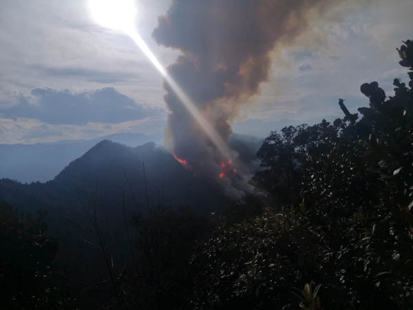 亲历者回忆凉山大火有遗体紧抱一起