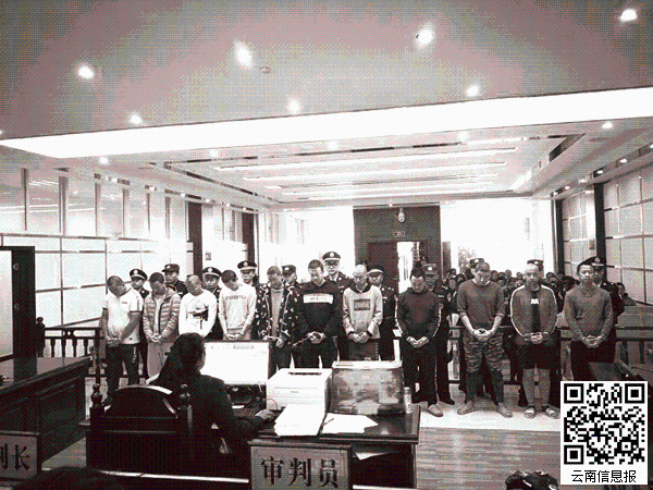 大理3地法院集中宣判涉黑涉恶案件 一黑社会组织头目被判处有期徒刑20