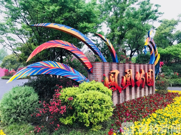 据了解,凤凰公园位于常州城东凤凰新城(雕庄街道),是常州唯一的杜鹃花