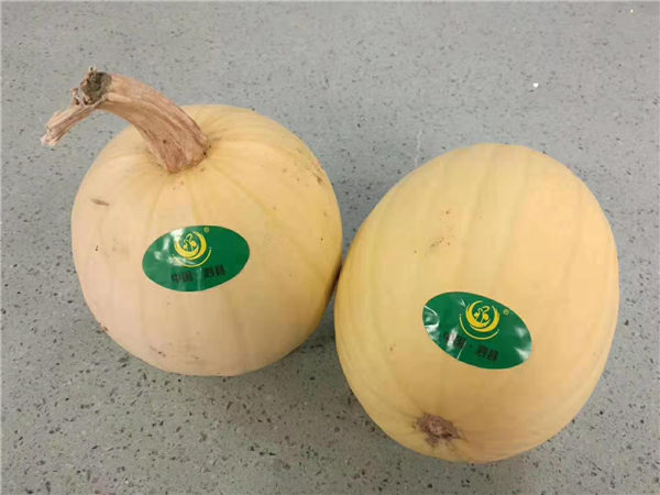 泗县金丝绞瓜2019安徽·合肥推介会举办