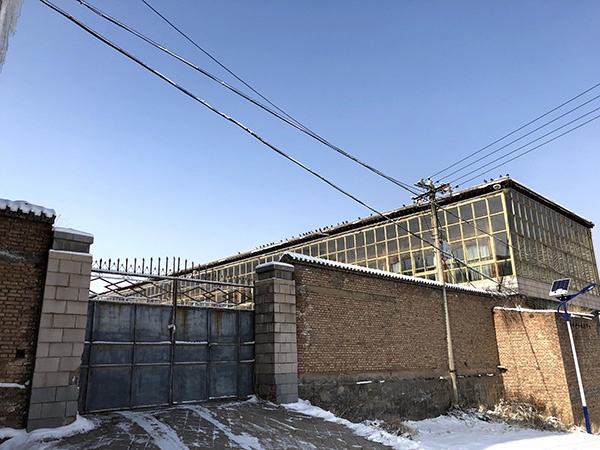 青海日月山埋尸案背后团伙：有骨干靠淘金发家