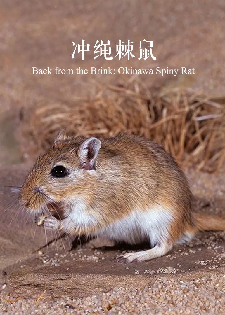 搞基才是男人的归宿