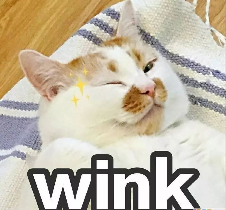 【评论有奖】男子科目二考试中,打电话问教练"现在该开哪个灯"?