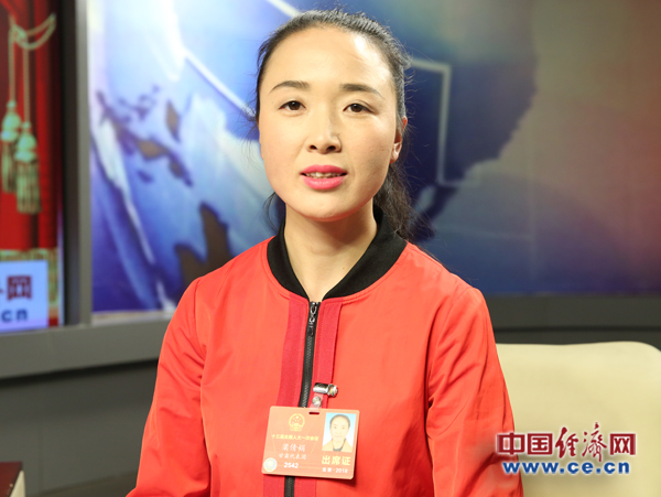 梁倩娟代表陇南经验让乡村更美更富