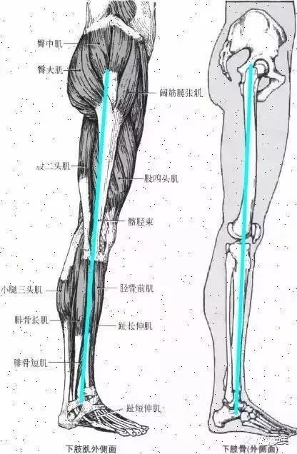 走路姿势不对出现的畸形好可怕,80%的人都中招|肌肉|体态|热巴_新浪