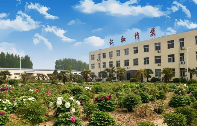 仁和药业业绩下滑涉嫌信披违规惨遭外资抛弃