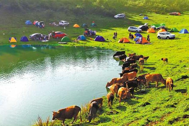 重庆推出近200项暑期旅游活动