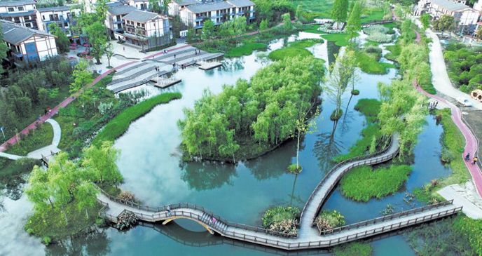 后是整齐的菜园;林盘外湿地环绕,小桥流水,犹如行走在一个生态大公园