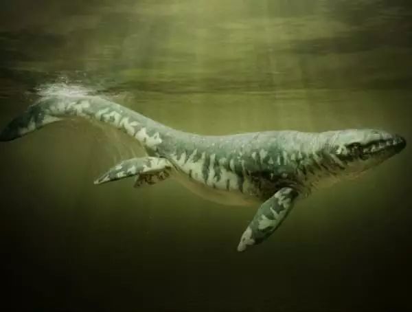 龙|鱼龙|白垩纪_新浪新闻