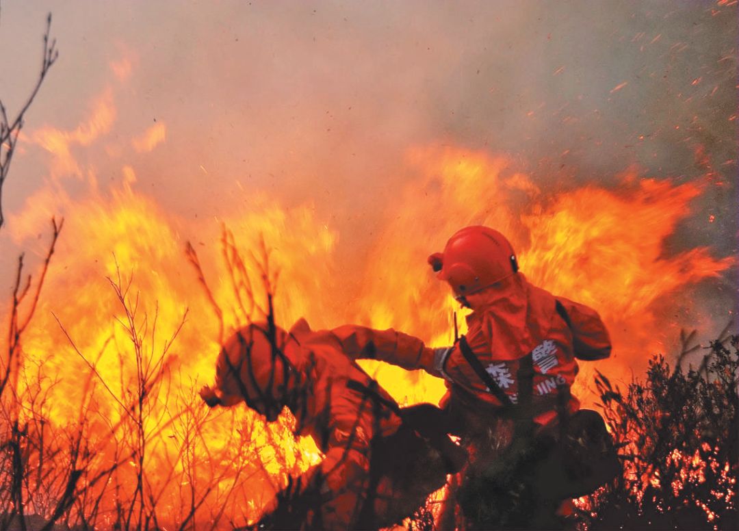 凉山火灾幸存消防员:每晚梦见18岁牺牲小战士说"拉我一把"