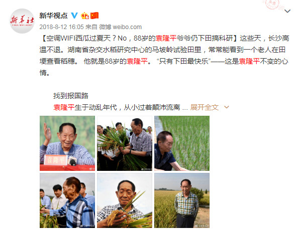 "只有下田最快乐"这是他不变的心情就在前天袁隆平参加湖南农业大学