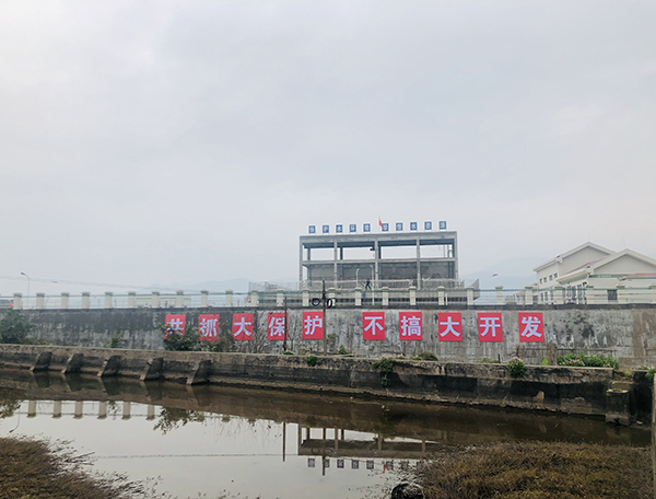 长江重庆段“共抓大保护 不搞大开发”的标语。 澎湃新闻记者 刁凡超 图