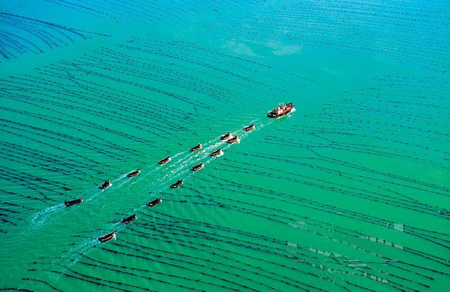 山东荣成:经略海洋 向海图强