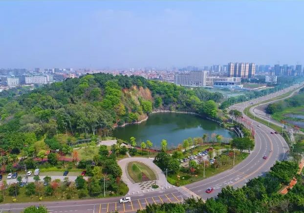 张槎现象为高质量发展带来哪些启示