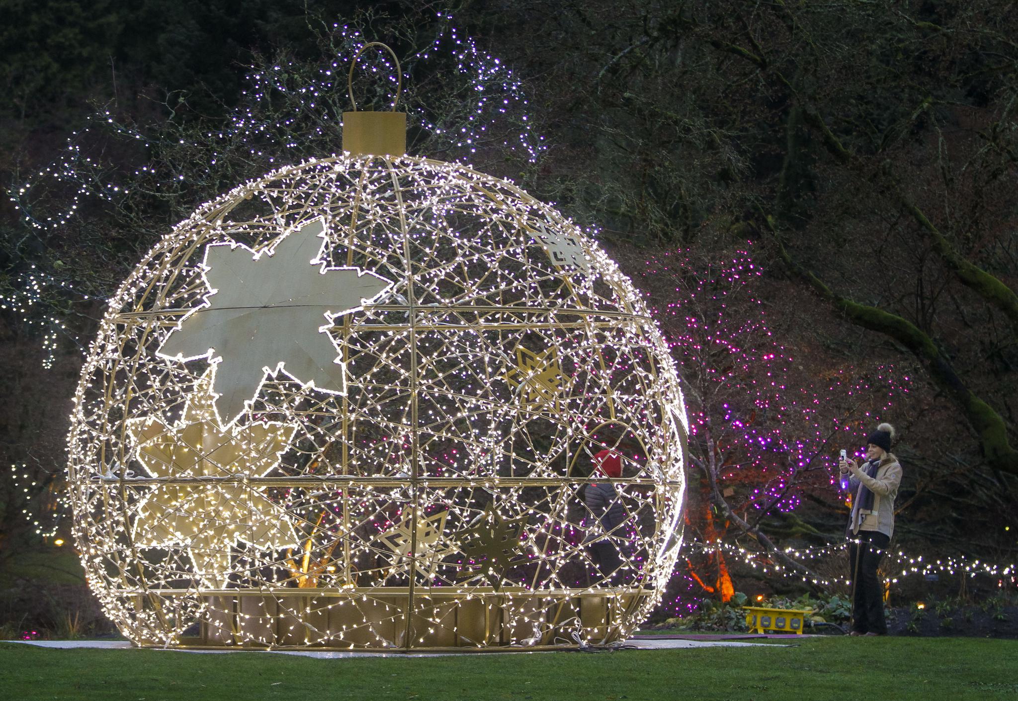 温哥华植物公园圣诞灯节开幕