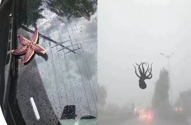 像胡歌六月的雨一样温柔了可以说昆明的雨渡劫失败的"海鲜雨"来但是比