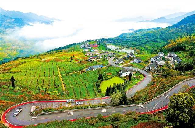 乡村路 别样美|黑山镇|乡村路|晨雾_新浪新闻