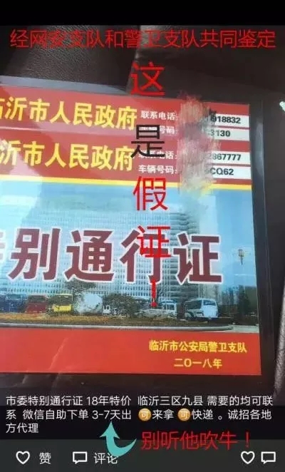 两人伪造山东临沂市委市政府特别通行证被抓图