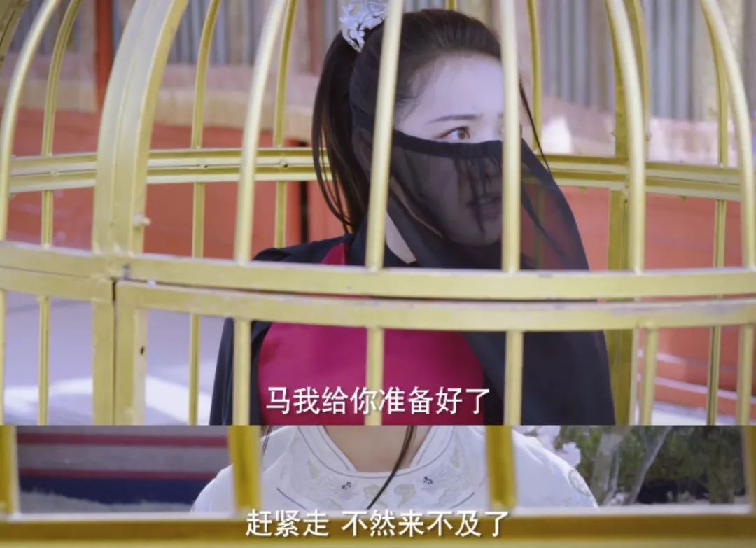 中二皇帝爱上女刺客,居然还当起酒店继承人?