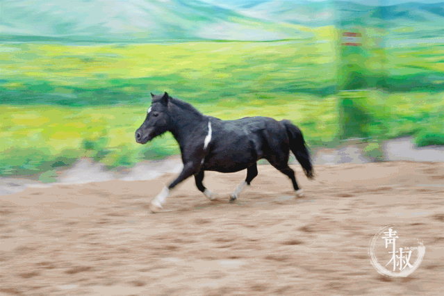 9元抢128元门票!