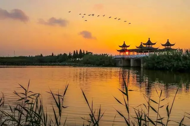 宿迁洪泽湖湿地火啦三位艺术家用一首美丽大湿地献礼洪泽湖速戳