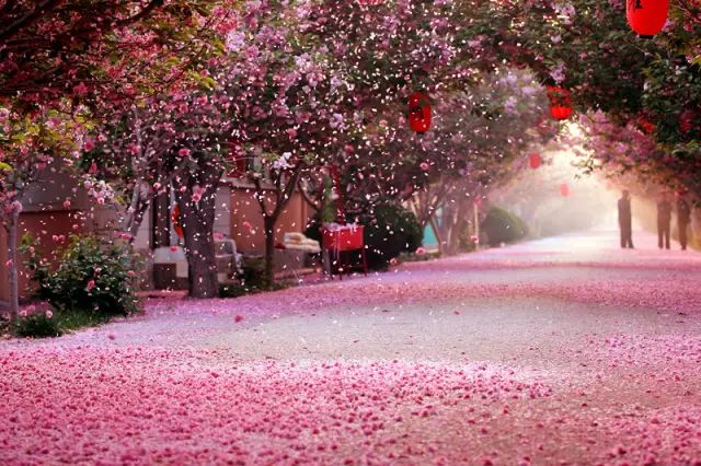 不负春光,踏青有约~您还不来报名?