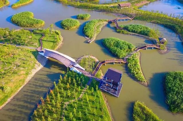 第十届高淳固城湖水慢城荷花旅游节6月16日开幕