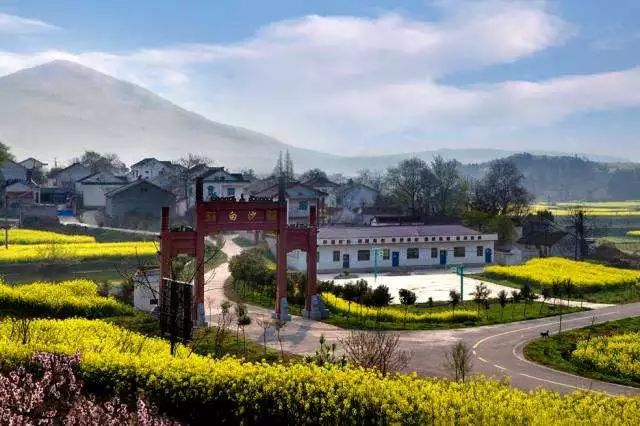 【新乡村】句容市天王镇党委书记贾良旭:农旅结合 倾力助推高质量发展