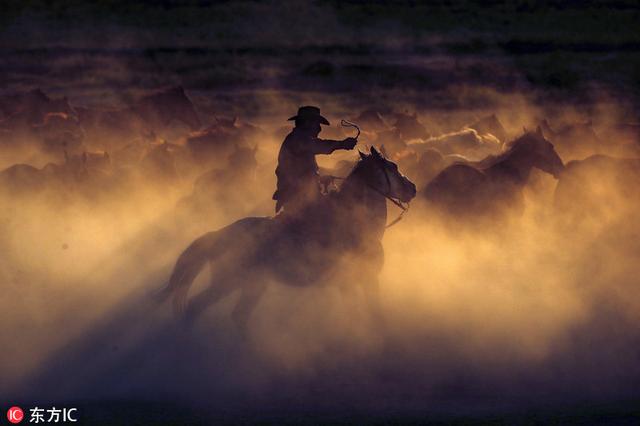 土耳其牧马人策马奔腾画面绝美