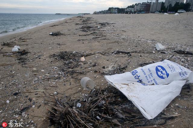 台风苏力过境韩国 东海岸垃圾堆积高达90吨