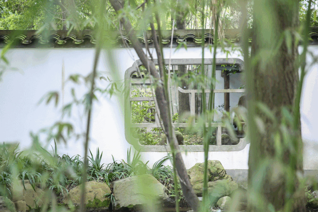 2号线直达的"苏州园林",是个不要门票的古风拍照地!