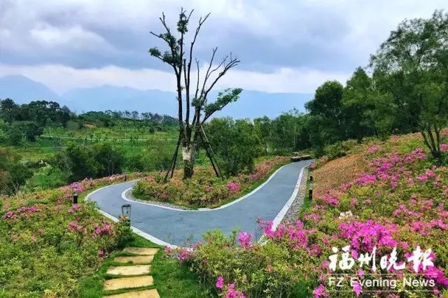 三江口南台岛东部片区规划公布cbd湿地公园艺术中心一批华丽丽的靓照