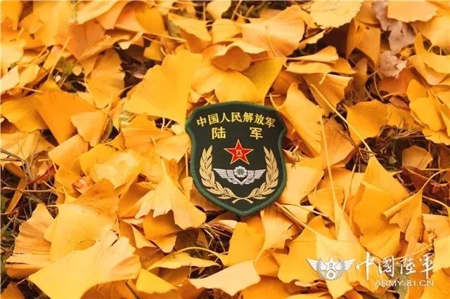 中国陆军之声缺纸不缺爱听过阿拉马力的枫叶情书么