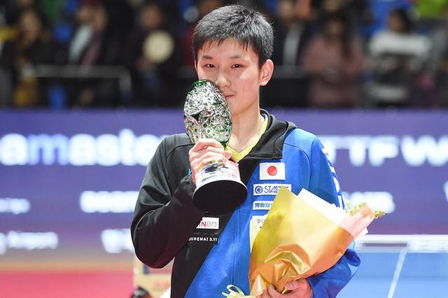 张本智和夺冠,父亲却要求他立刻回学校读书,日