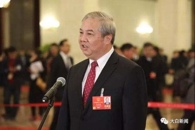 吴光辉在“代表通道”上发言（图片来源于人民日报）
