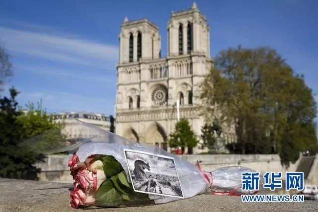 4月17日，一束鲜花摆放在火灾后的巴黎圣母院附近 新华社发（亚历山大·卡曼摄）