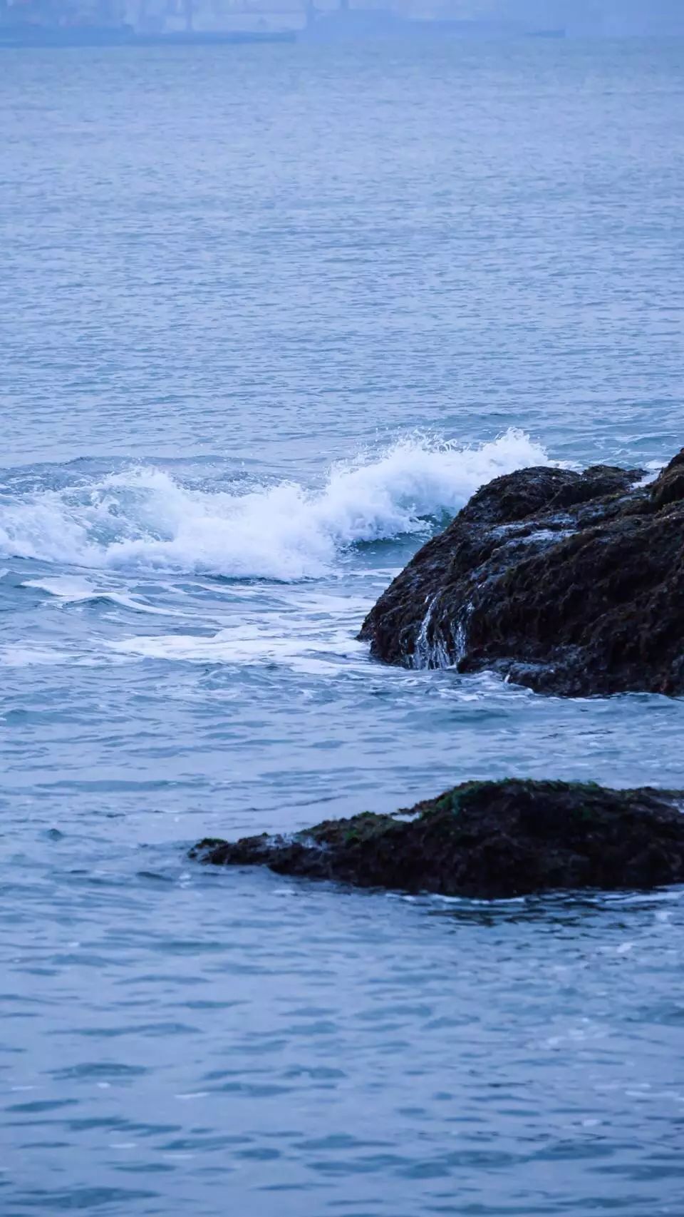 壁纸 —— 很久没有推荐那种淡淡的 安静舒服的壁纸了