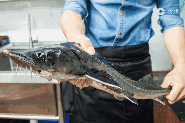 640_427gif 动态图 动图